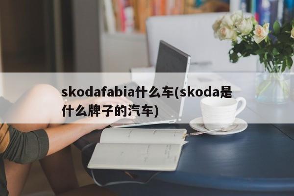 skodafabia什么车(skoda是什么牌子的汽车)