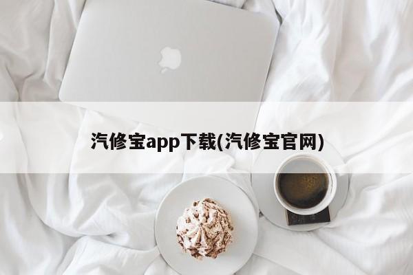 汽修宝app下载(汽修宝官网)
