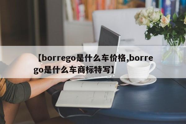 【borrego是什么车价格,borrego是什么车商标特写】