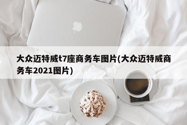 大众迈特威t7座商务车图片(大众迈特威商务车2021图片)